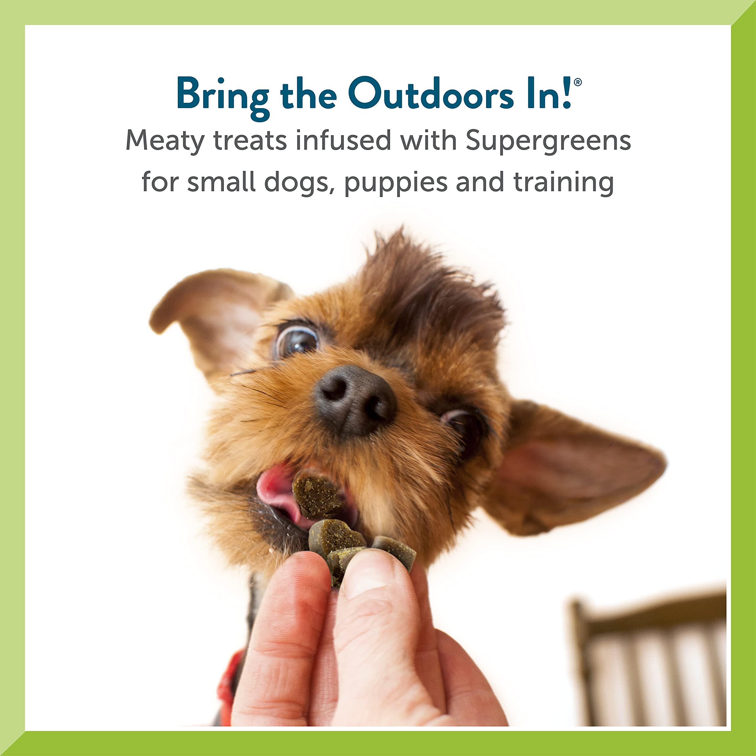 Pet Greens soft-chew treats suited for training sessions with small dogs.