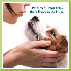 Pet Greens USA-made packaging with clear ingredient list.