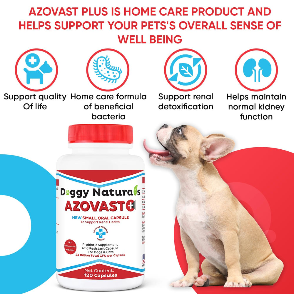 Pet Health Pharma Azovast Plus 360 capsules for long-term kidney support