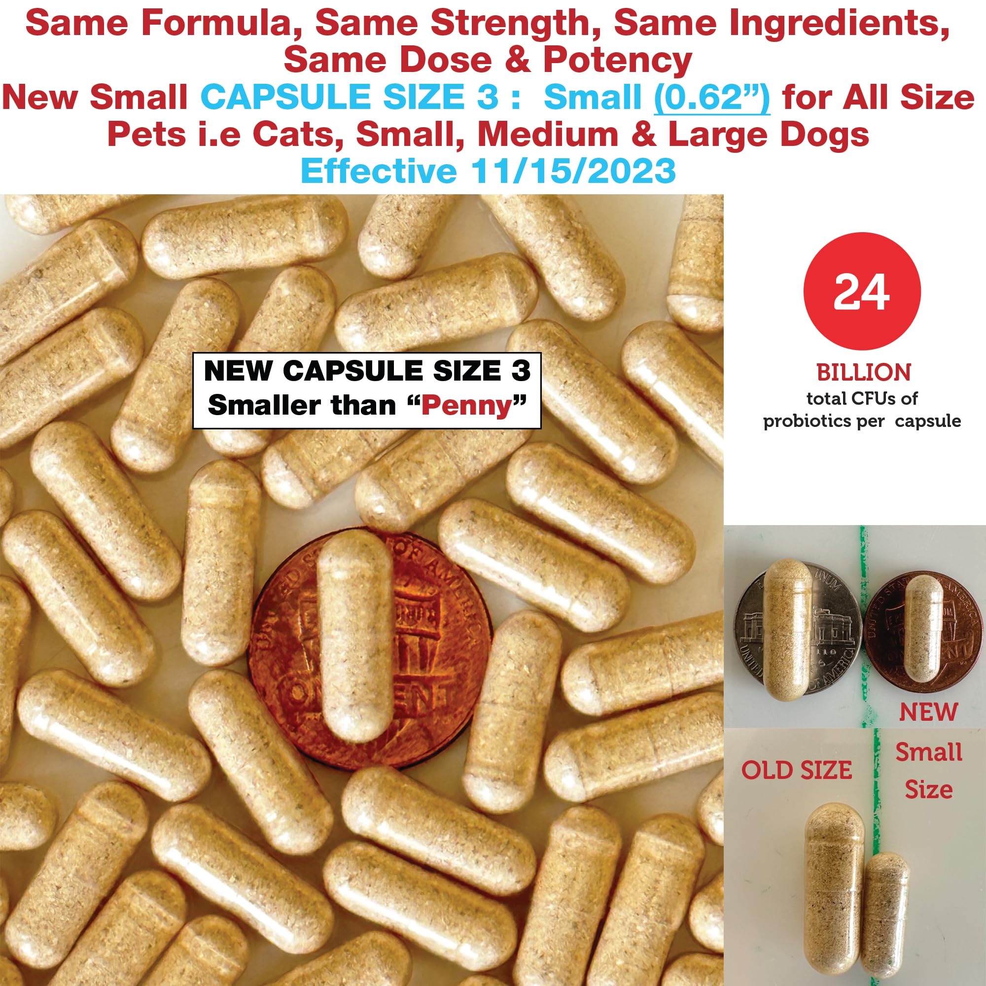 Pet Health Pharma Azovast Plus capsules ready for daily renal care