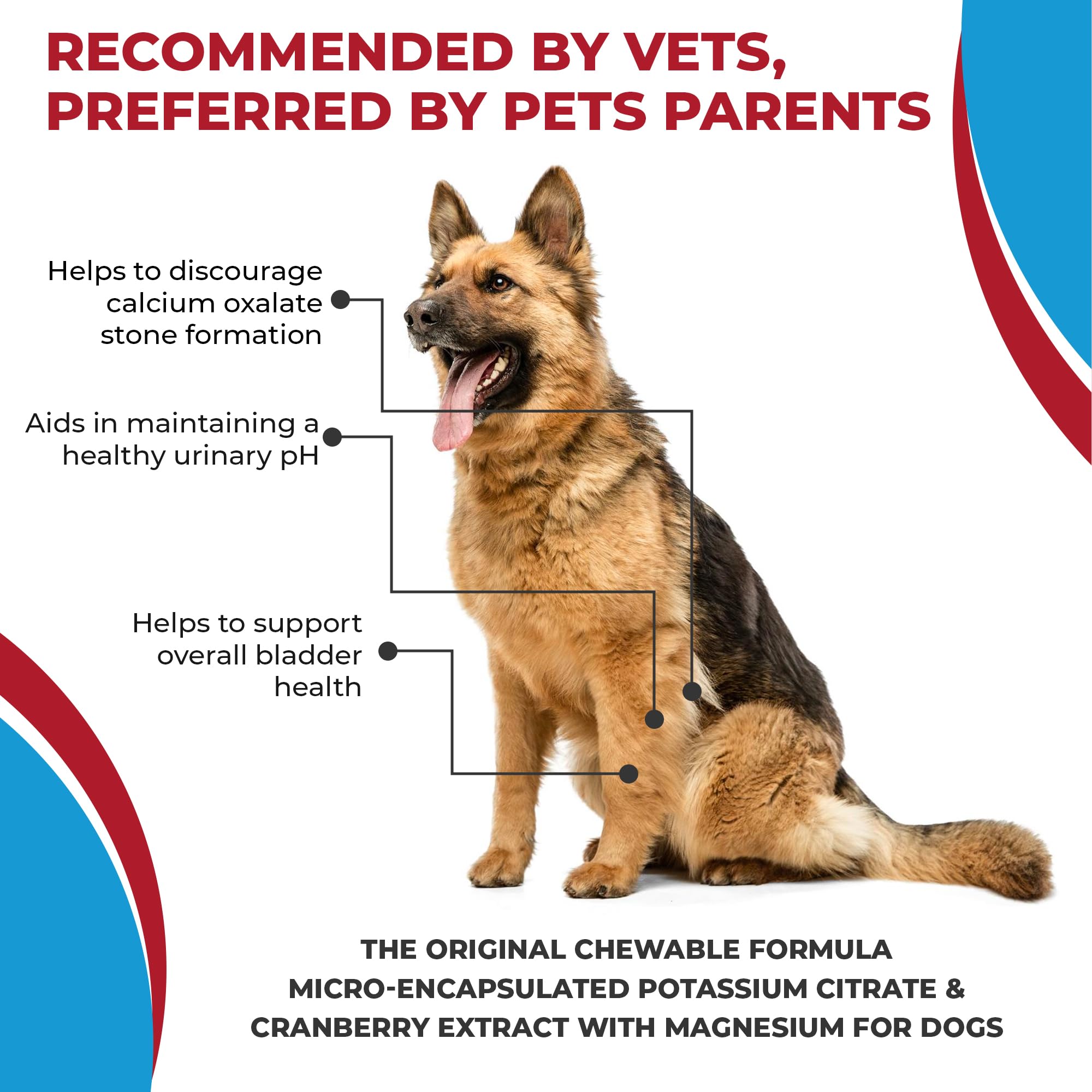 Pet Health Pharma dog near water bowl signaling urinary health support.