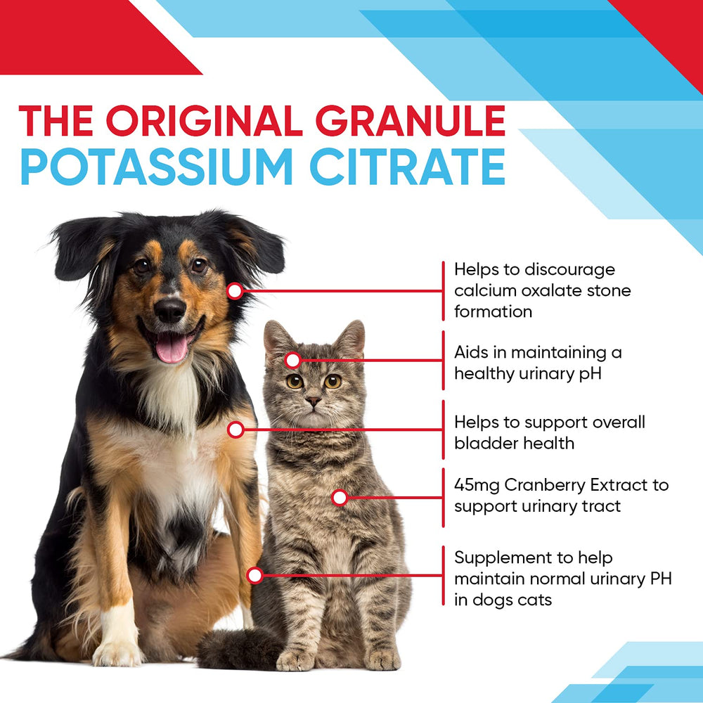 Pet Health Pharma essential fatty acids promote healthy skin and coat