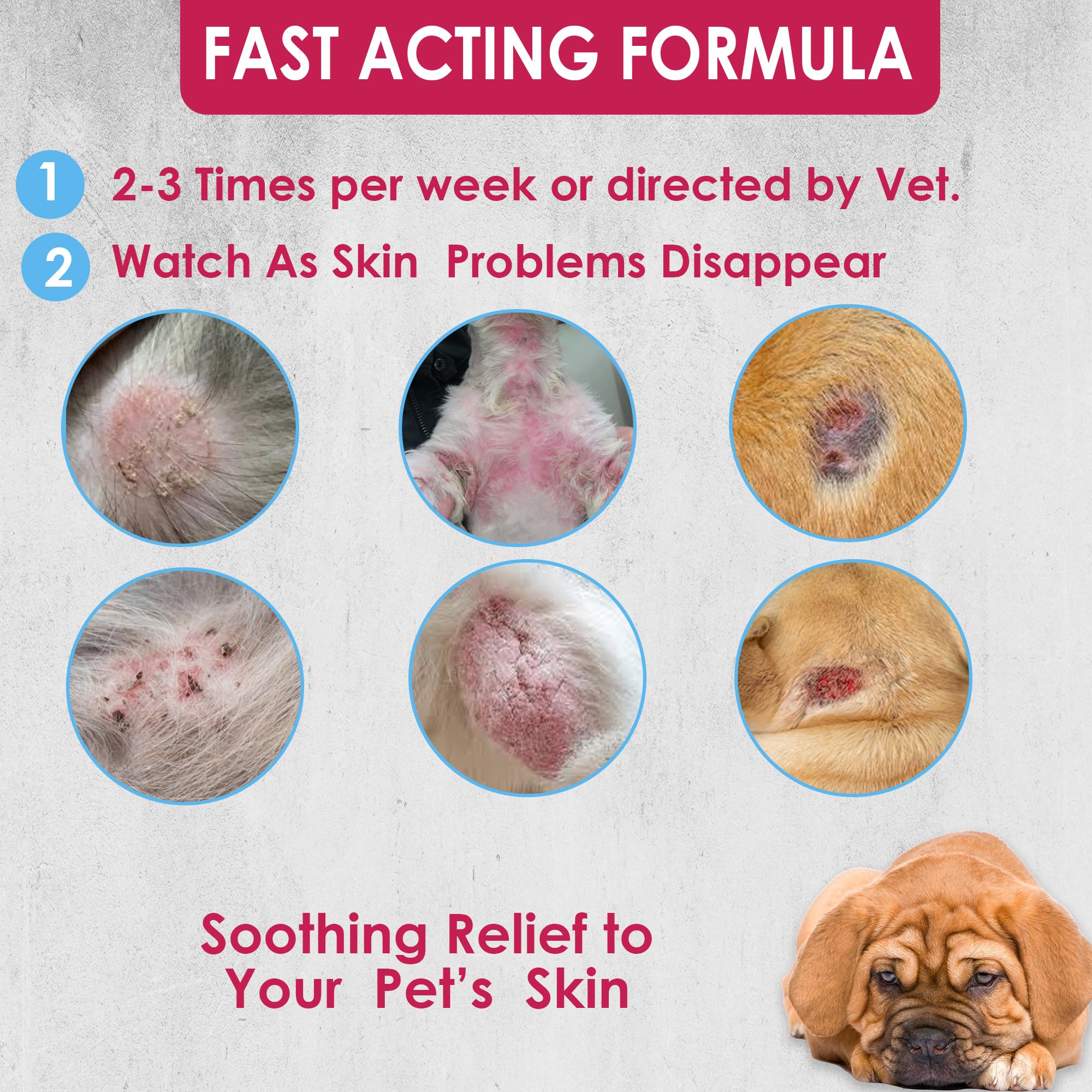 Pet Health Pharma Truseb manufactured in USA with GMP standards