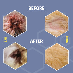 Pet Health Pros cat ear cleaner targets buildup for odor control