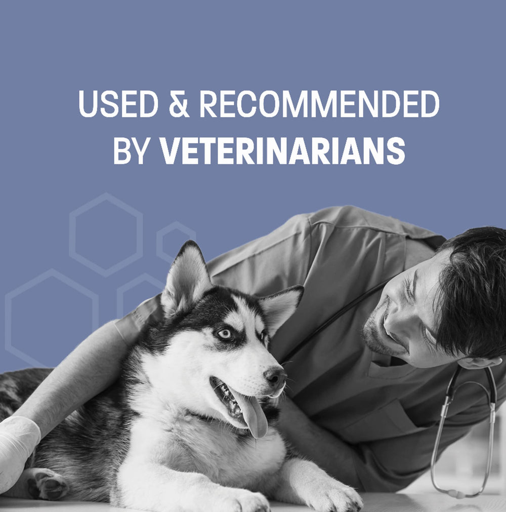 Pet Health Pros packaging close up shows product ready for use