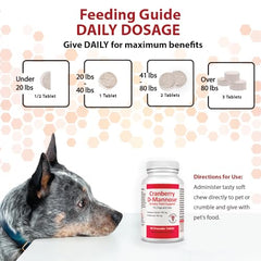 Pet Health Solutions happy-pet-urinary-health visuals suggest ongoing comfort.