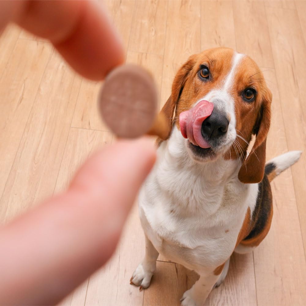 Pet Health Solutions K-Plus chewables poured into dog food bowl for easy use.