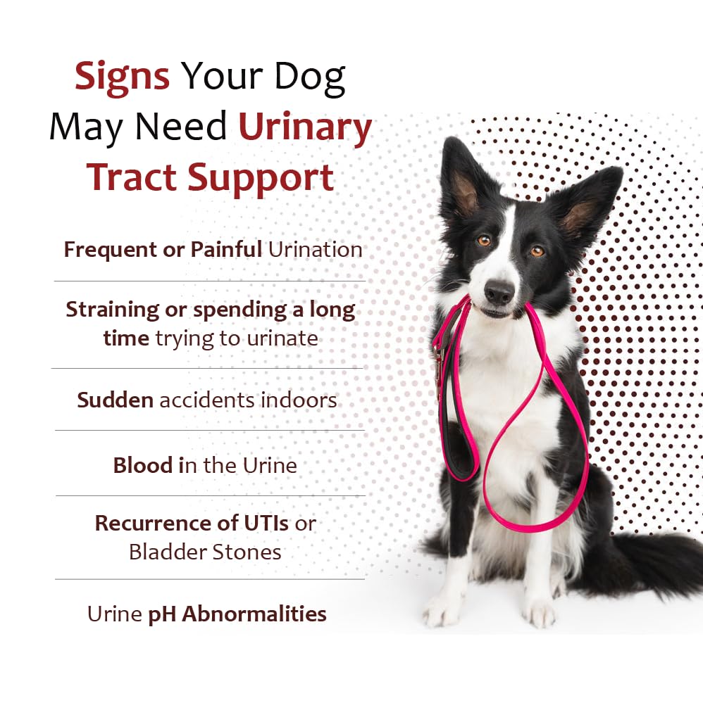 Pet Health Solutions K-Plus pork liver flavor tablets for dogs ease of administration.