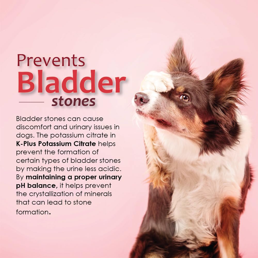 Pet Health Solutions pork-liver flavor chew close-up palatability.