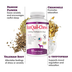 Pet Health Solutions Tranquil-Chews travel moment with dog for easier trips.