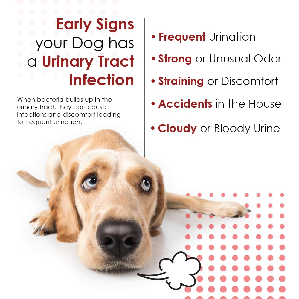 Pet Health Solutions vitamin-c-urinary-support emphasizes kidney function maintenance.