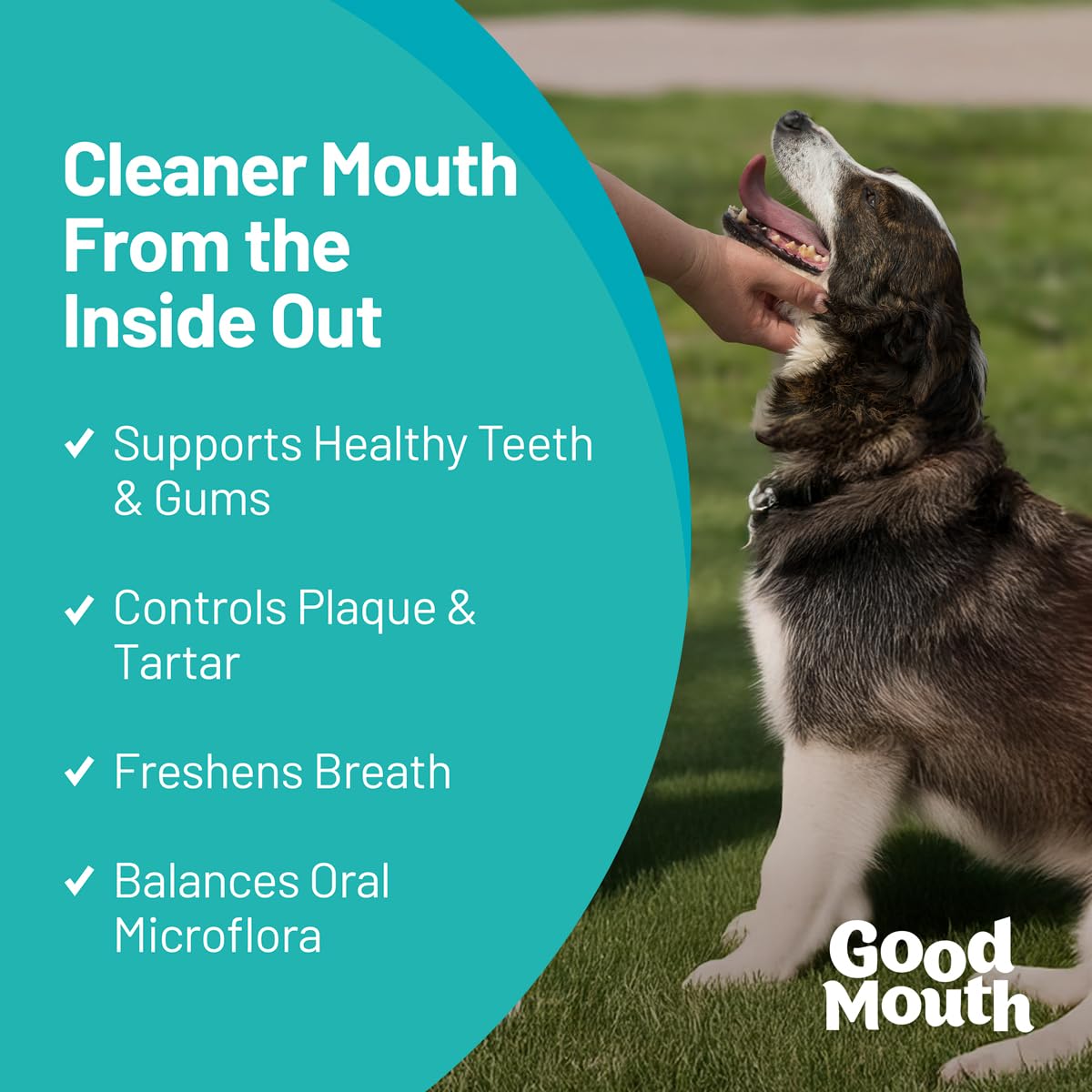 Pet HealthWorks Good Mouth chews chewy texture close-up highlights soft, easy-to-chew oral care.