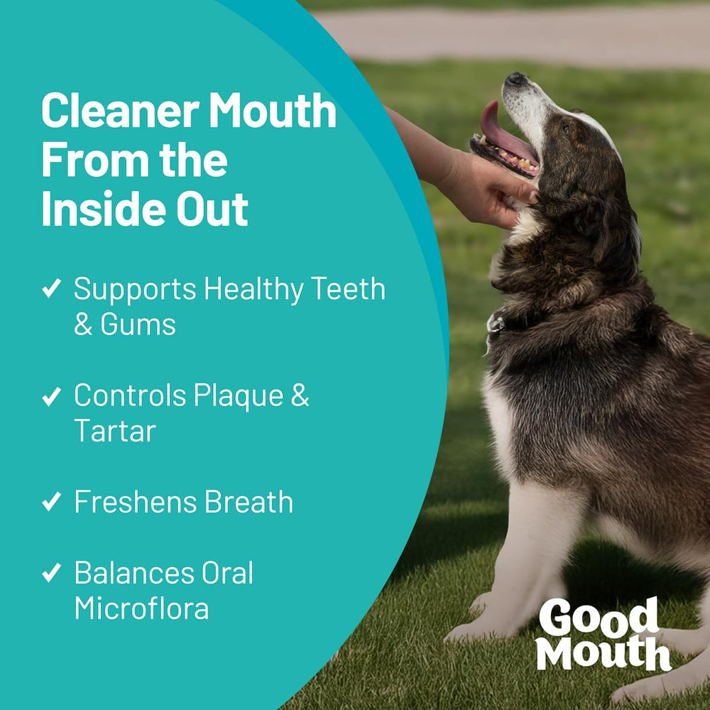 Pet HealthWorks Good Mouth chews chewy texture close-up highlights soft, easy-to-chew oral care.
