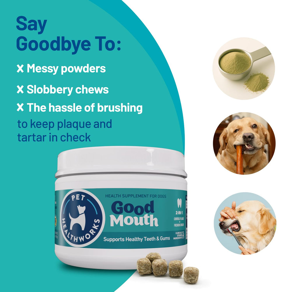 Pet HealthWorks Good Mouth chews fresh breath concept with dog-friendly reward visuals.