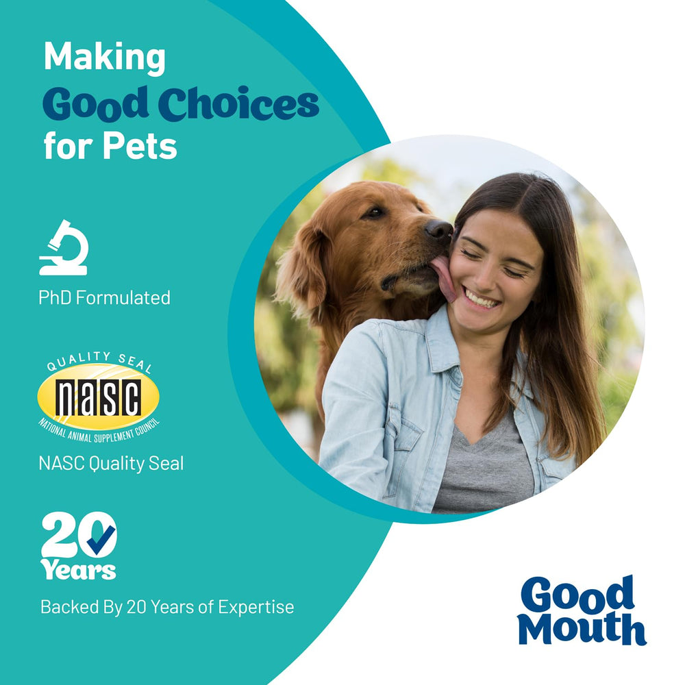 Pet HealthWorks Good Mouth chews dog mouth-care scene highlights gum health support.