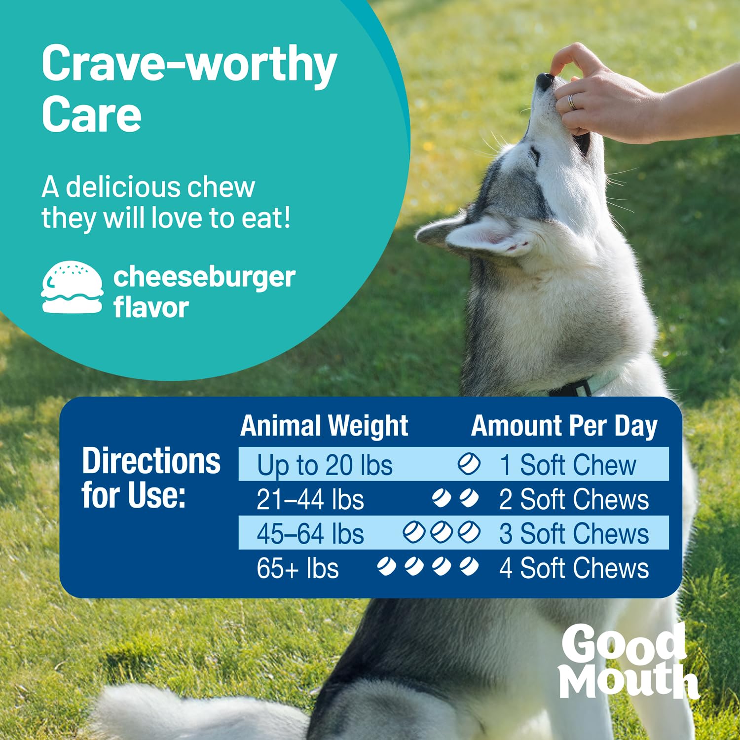 Pet HealthWorks Good Mouth chews probiotic ingredients close-up shows kelp and postbiotic.
