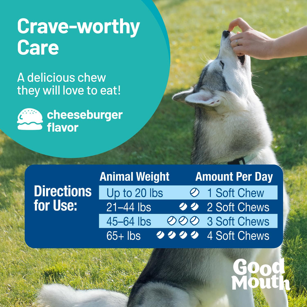 Pet HealthWorks Good Mouth chews probiotic ingredients close-up shows kelp and postbiotic.