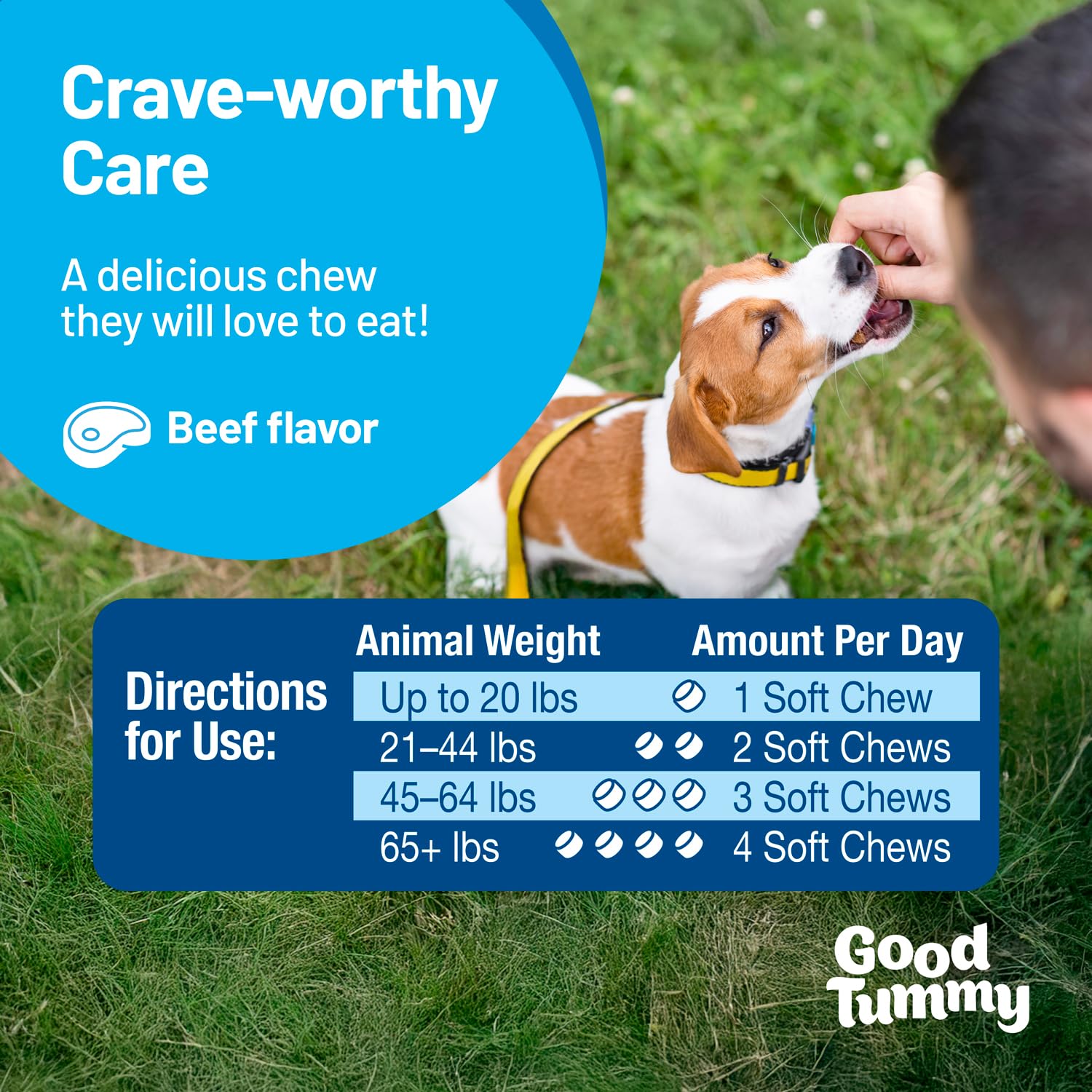 Pet HealthWorks Good Tummy beef-flavored packaging emphasizes palatability and easy dosing.