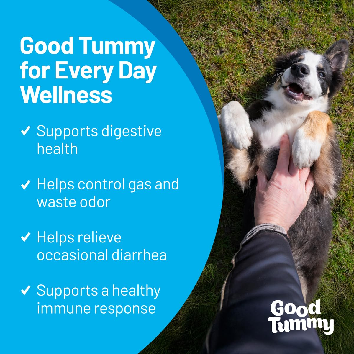 Pet HealthWorks Good Tummy chews texture closeup highlights soft bite for digestion.