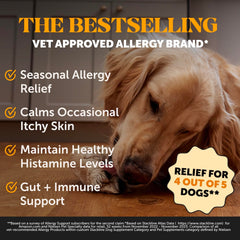 Pet Honesty Allergy Skin Health chews dog eating showing palatable salmon flavor for easy dosing.