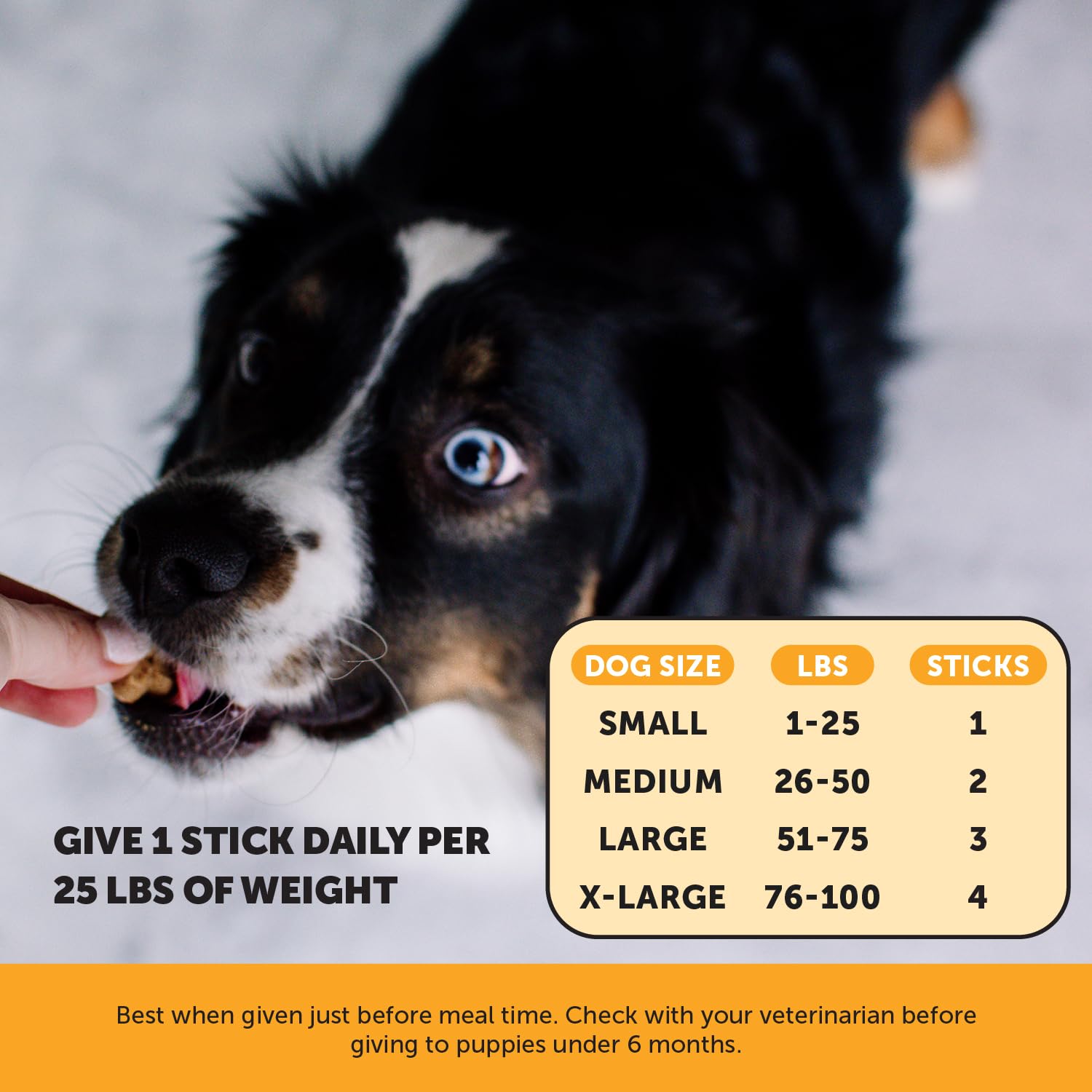 Dog enjoying a chew from Pet Honesty Allergy Support Fresh Dental Sticks for fresh breath.