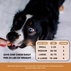 Pet Honesty bacon-flavor chews shown as tasty, crave-worthy treat