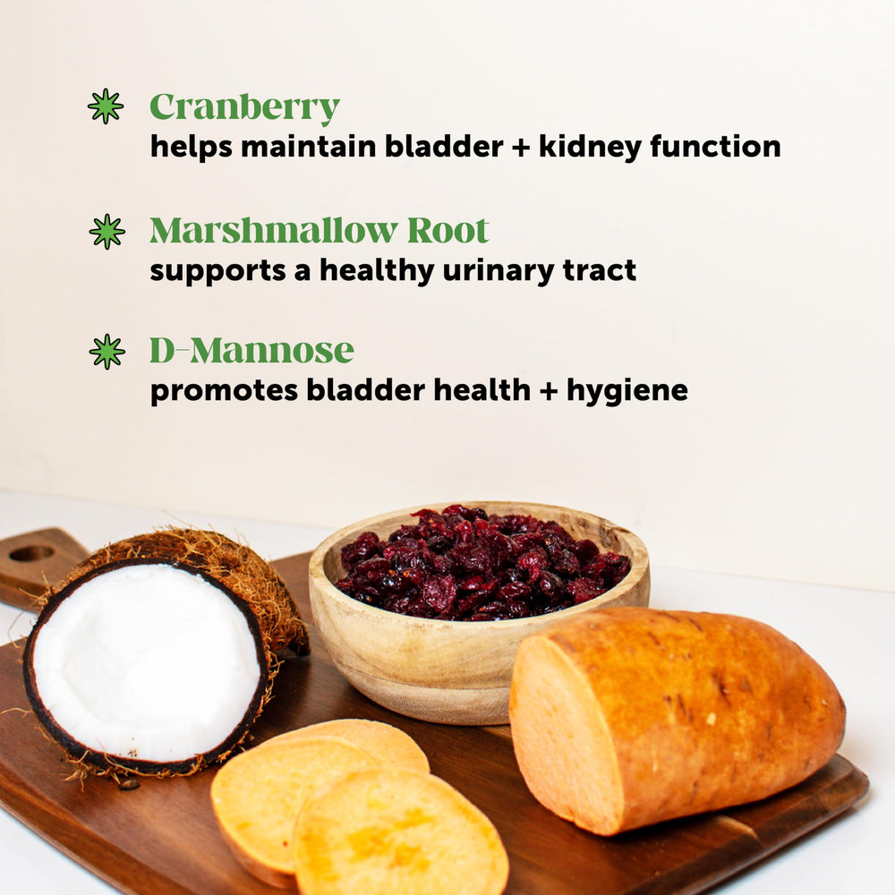 Pet Honesty bladder health cranberry chews bottle on counter suggests convenient daily use.