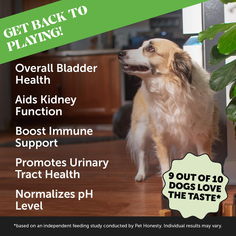 Pet Honesty bladder health chews taste close-up shows flavorful bite for daily wellness.