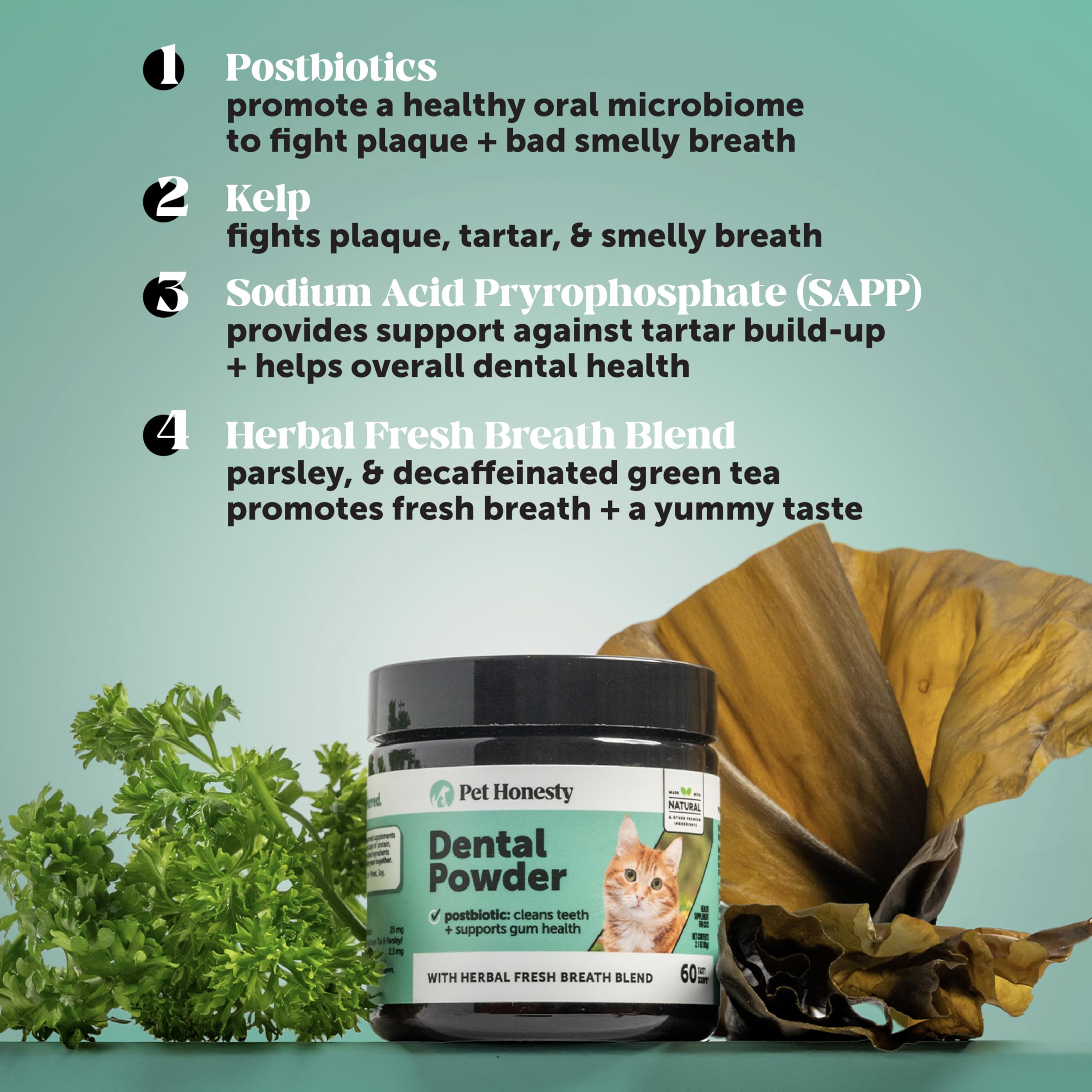 Pet Honesty dental powder ingredients blend supports balanced oral bacteria