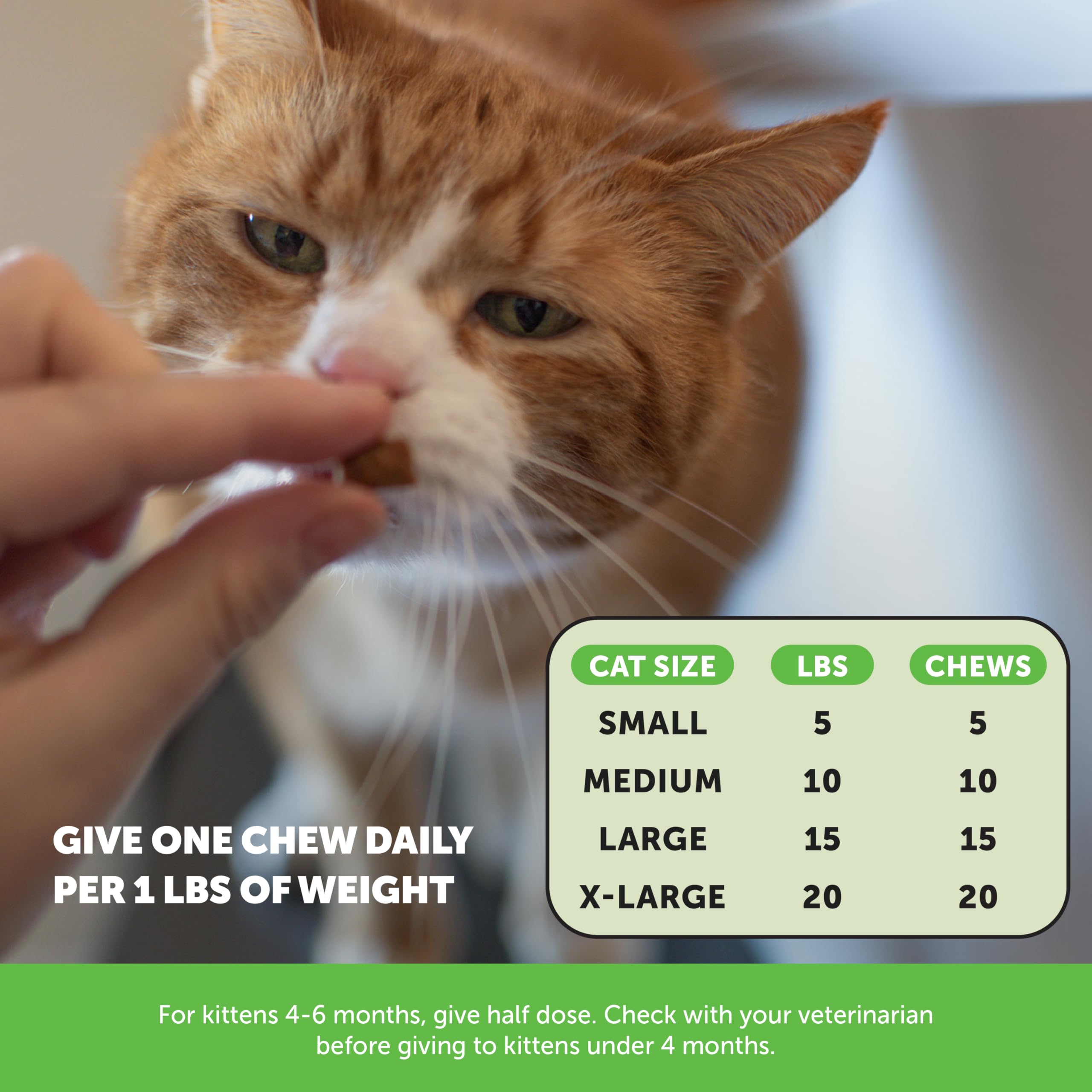 Pet Honesty recycled-packaging emphasizes eco-conscious packaging choices.