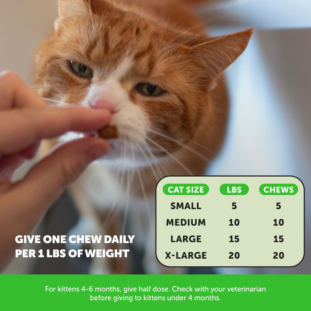 Pet Honesty recycled-packaging emphasizes eco-conscious packaging choices.