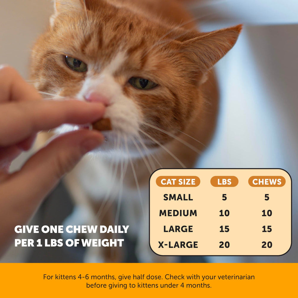 Pet Honesty Cat Immune Support Lysine vet-approved formula for pets