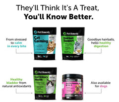 Pet Honesty cat multivitamin chews immune support ingredients may aid daily immune health.