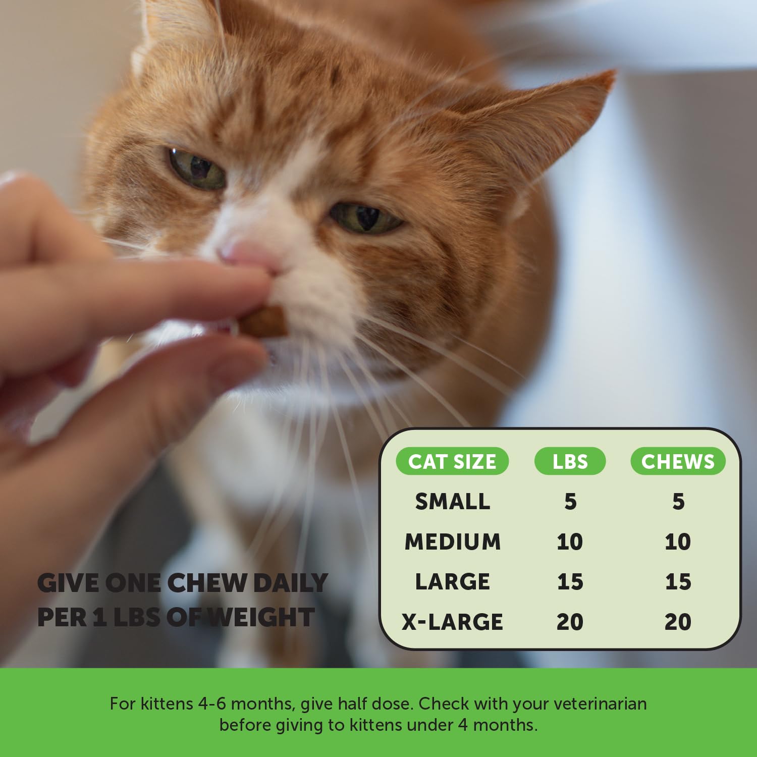 Pet Honesty Cat Probiotics Chews product box notes immune health benefits