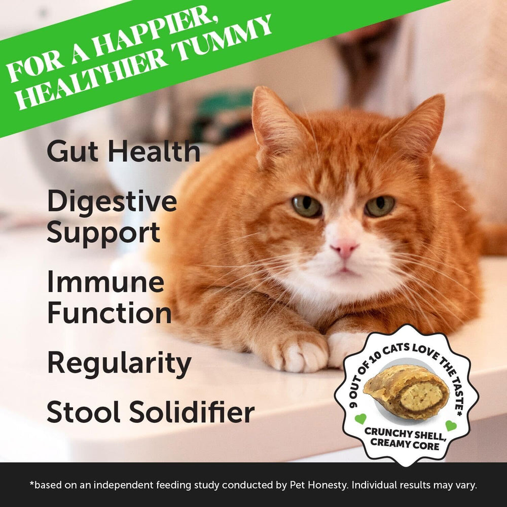 Pet Honesty Cat Probiotics Chews package for convenient daily dosing
