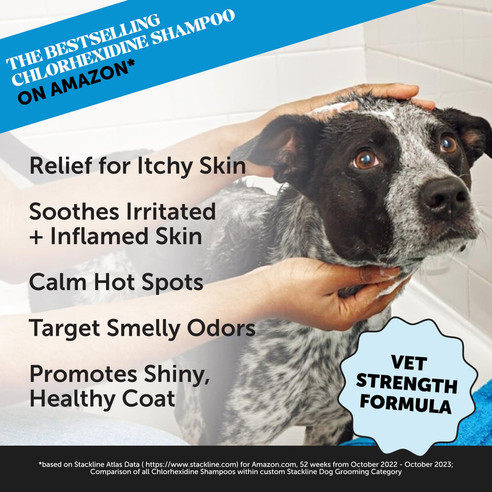 Pet Honesty chlorhexidine skin-soothing-lather promotes comfortable grooming and a healthy-looking coat.