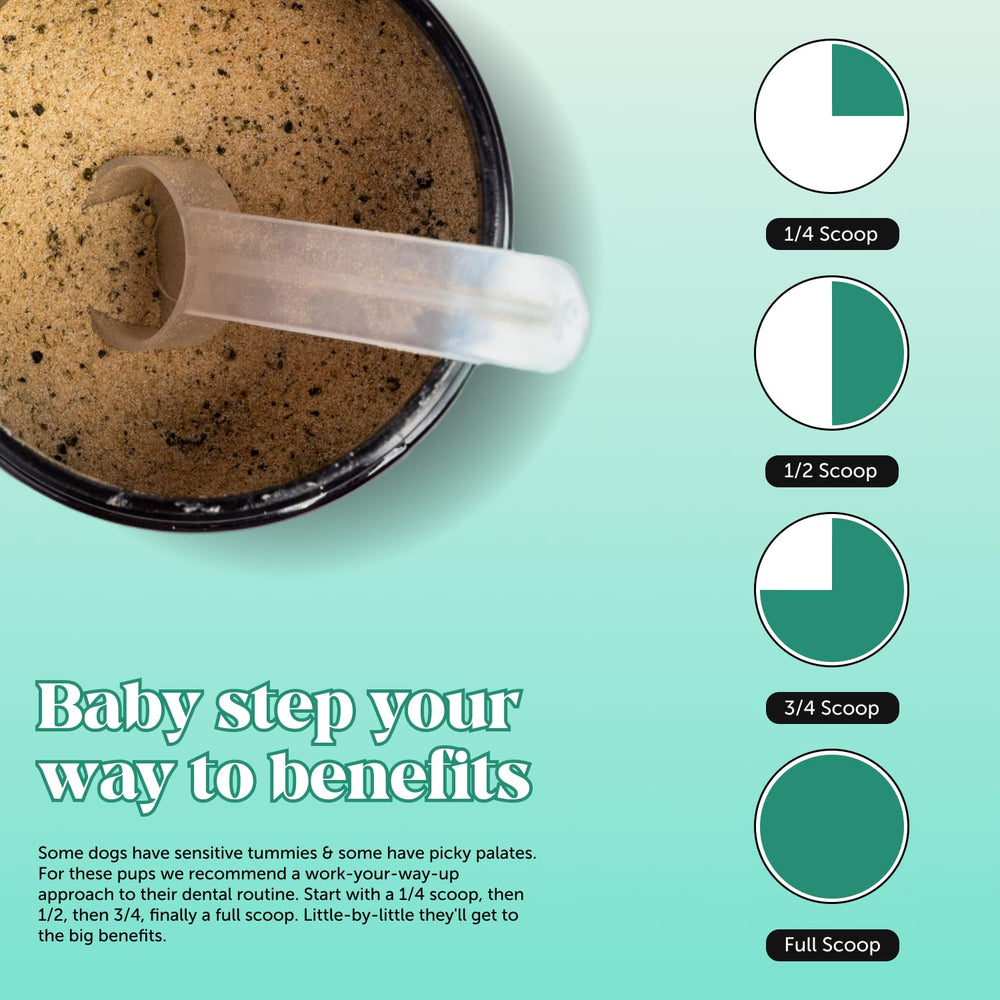 Pet Honesty direct powder-on-food action shown during meal prep