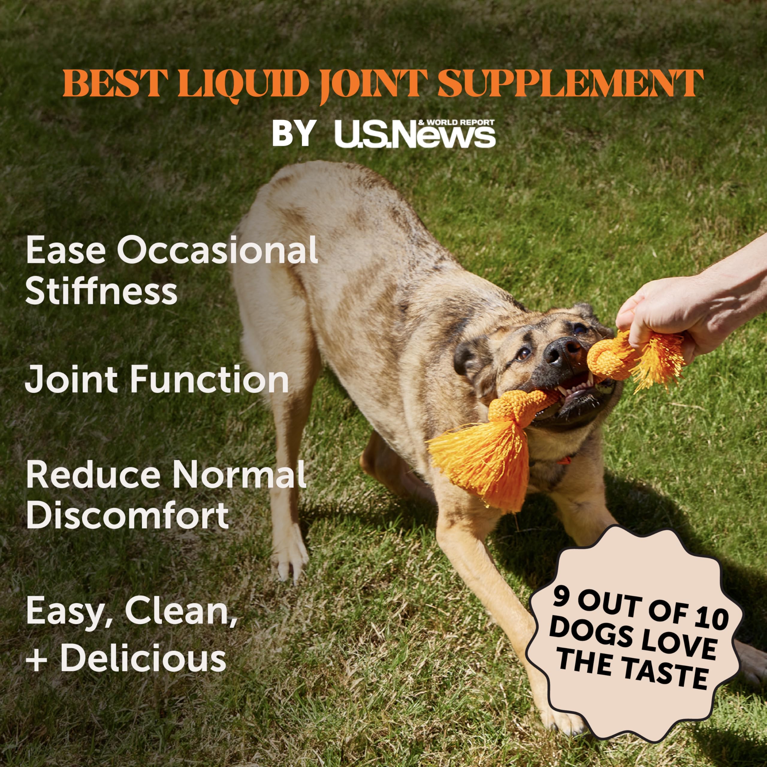 Pet Honesty joint supplement bottle shows glucosamine and chondroitin for improved flexibility.