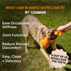 Pet Honesty joint supplement bottle shows glucosamine and chondroitin for improved flexibility.