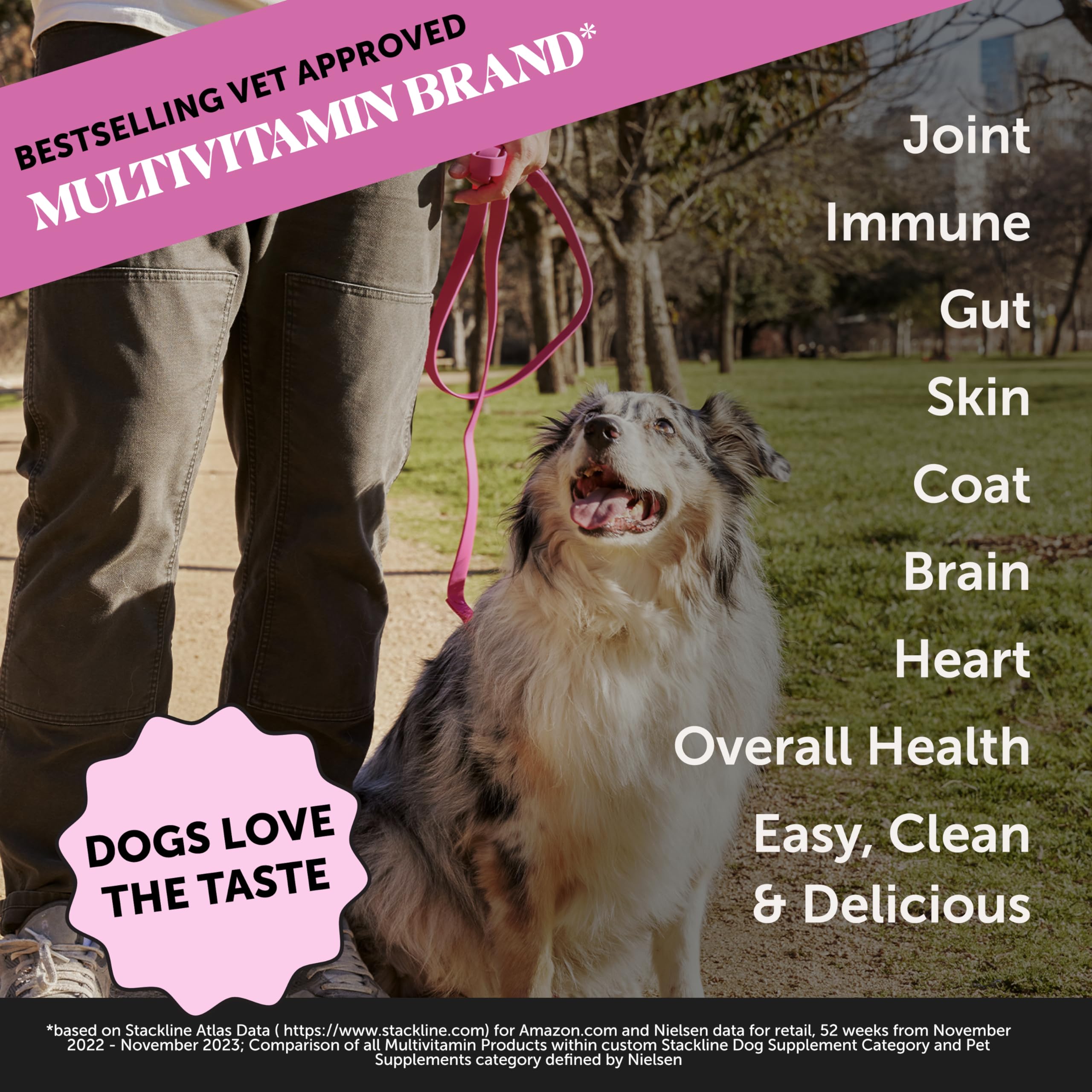 Pet Honesty dog multivitamin twist-cap dosing demonstrates clean, easy daily nutrition for dogs.