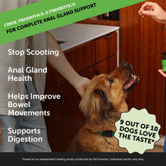 Pet Honesty soft chews close-up shows a palatable fiber blend for daily use.