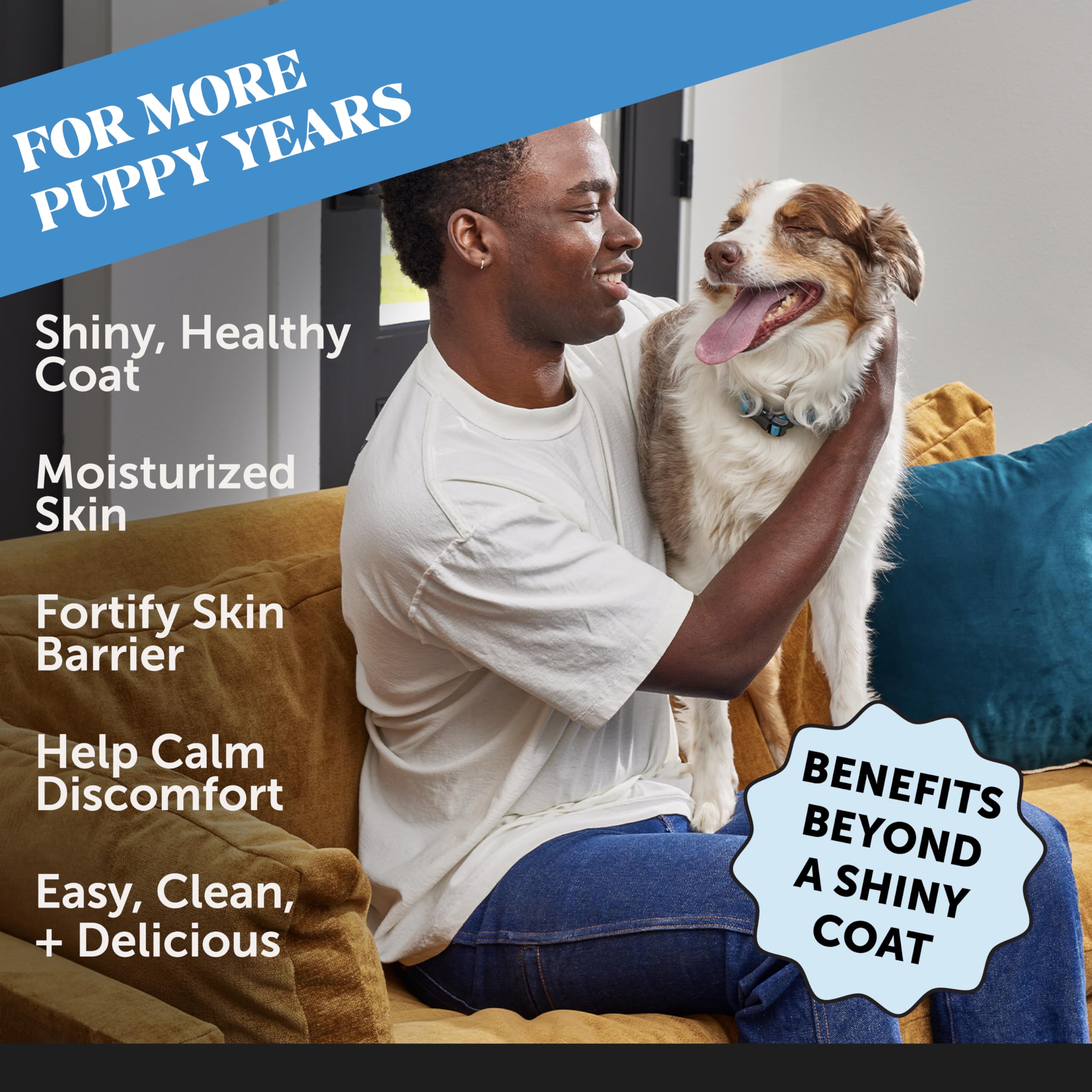 Pet Honesty dog skin and coat supplement serving on dish shows easy-topper use