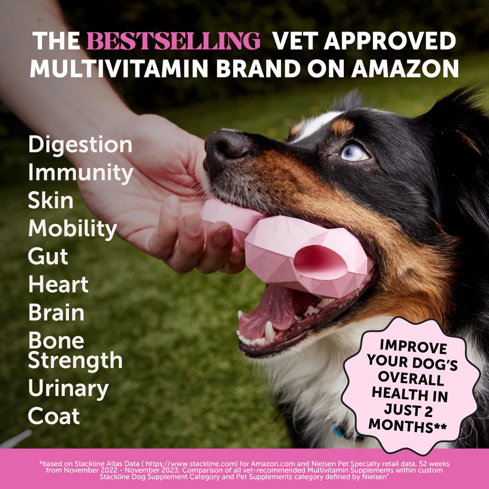 Pet Honesty dog soft chews with glucosamine for joint comfort and mobility