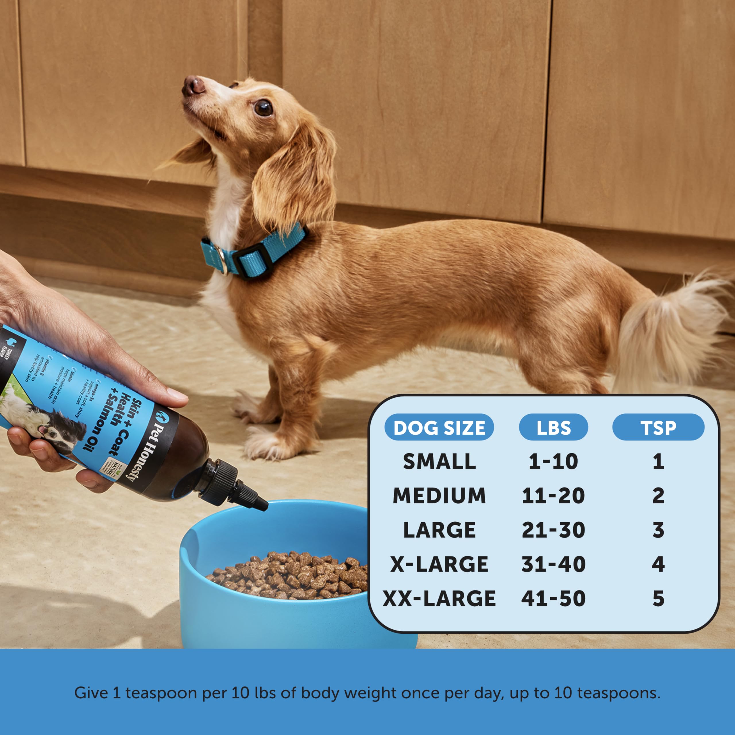 Pet Honesty dog with shiny coat illustrates health benefits and vitality