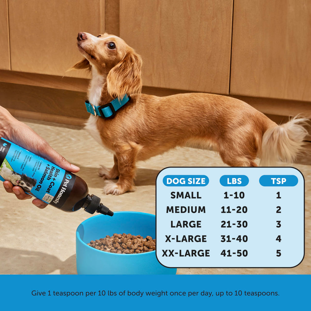 Pet Honesty dog with shiny coat illustrates health benefits and vitality