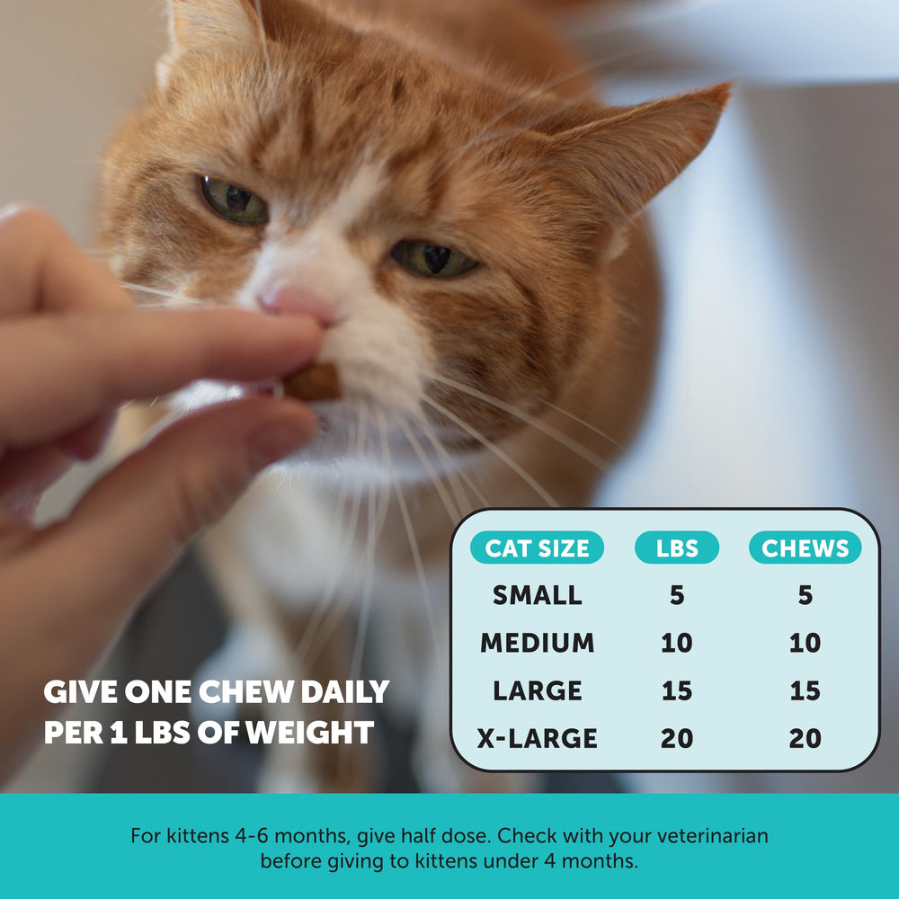 Pet Honesty Envase reciclado y sostenible para mascotas y planeta