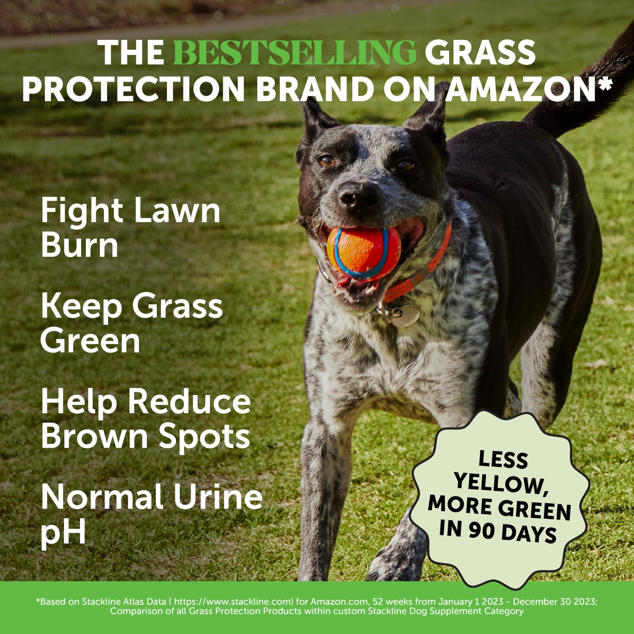 Pet Honesty Grass Green Dog Chews serving dish; tasty bites dogs savor