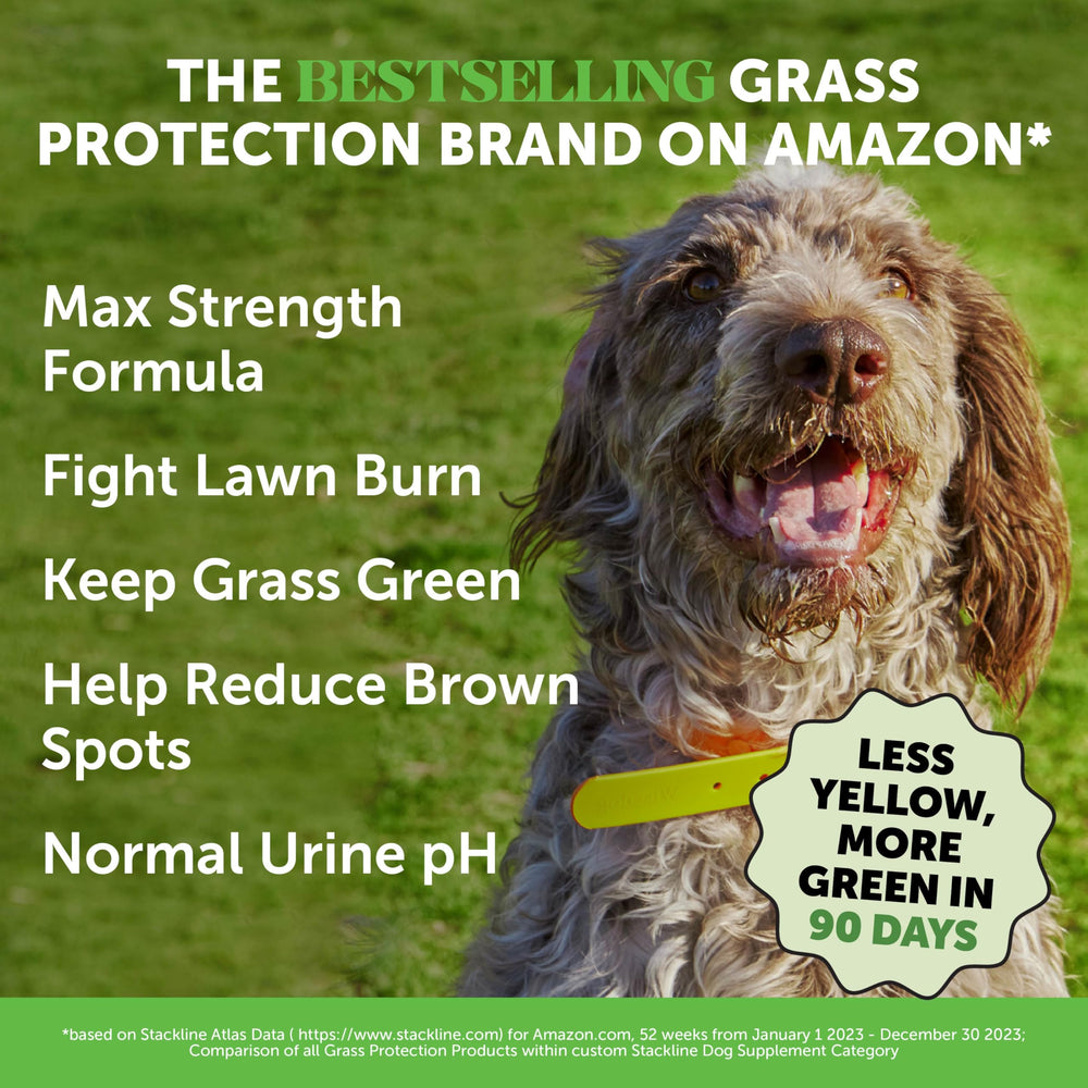 Pet Honesty Grass Green Max Strength chews in a bowl with duck flavor for daily digestion support.