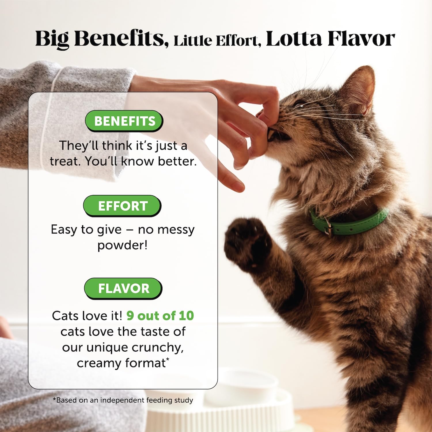 Pet Honesty digestion-apple-pomace highlights natural fiber for gut health.
