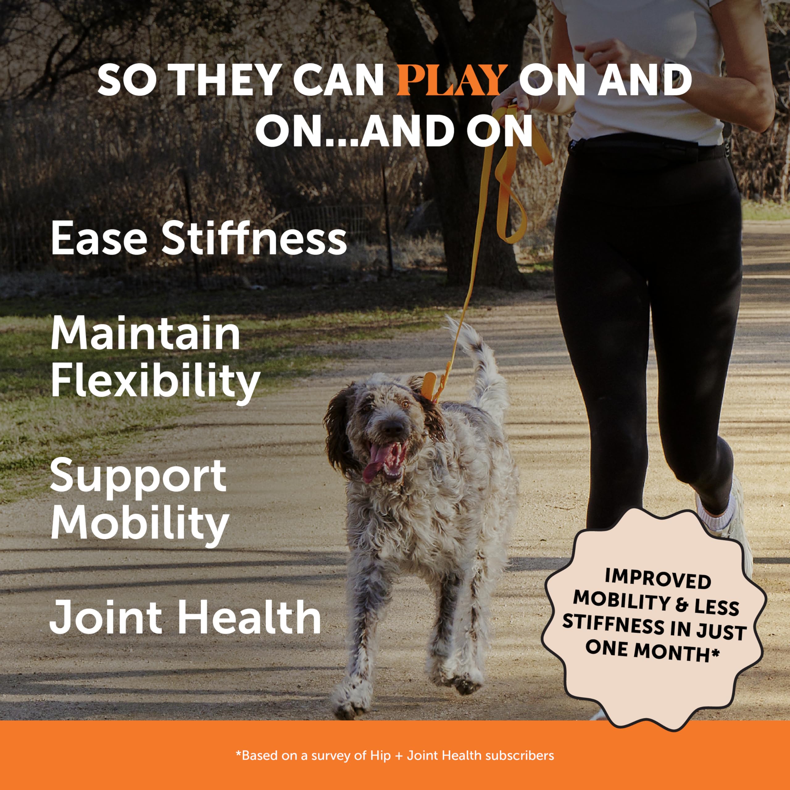 Pet Honesty hip joint soft chews closeup features glucosamine, chondroitin, and turmeric.